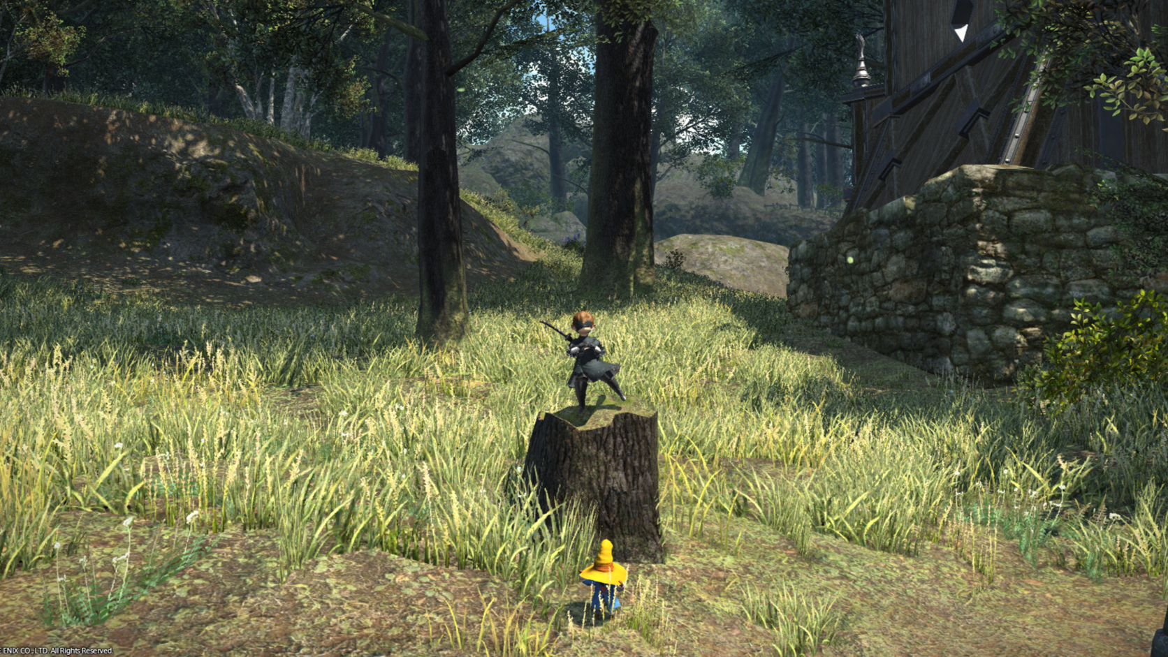 【FFXIV】黑骑E1S第一视角(开幕暴击)